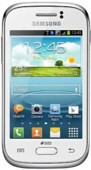 Samsung S6310 Galaxy Young (White)